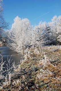 Winterlandschap in Nederland